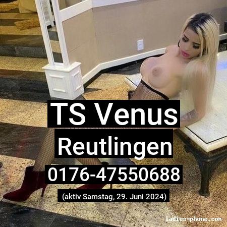 Ts venus aus Reutlingen